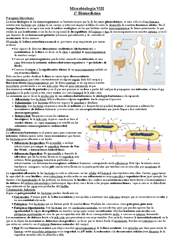 Miniatura del documento Tema 6 Microbiología.pdf
