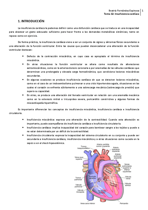 Miniatura del documento Tema 12_Insuficiencia cardíaca.pdf