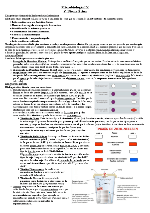 Miniatura del documento Tema 7 Microbiología.pdf