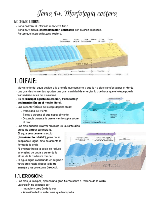 Miniatura del documento Tema 14. Morfología costera.pdf
