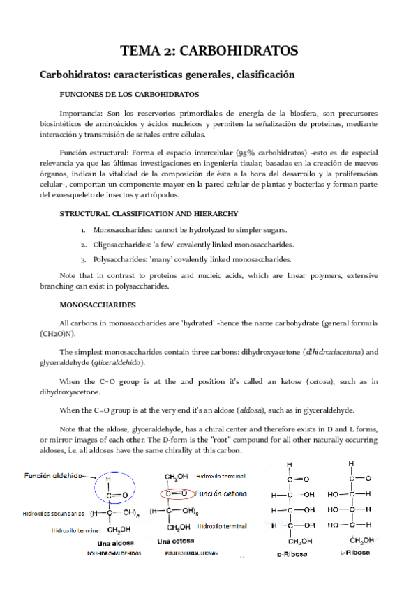 Miniatura del documento TEMA 2.pdf