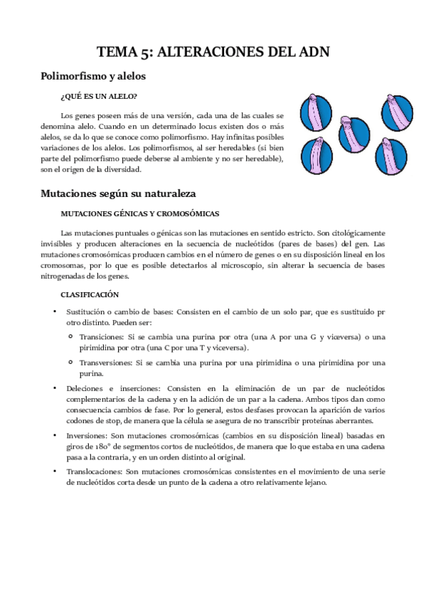 Miniatura del documento TEMA 5.pdf