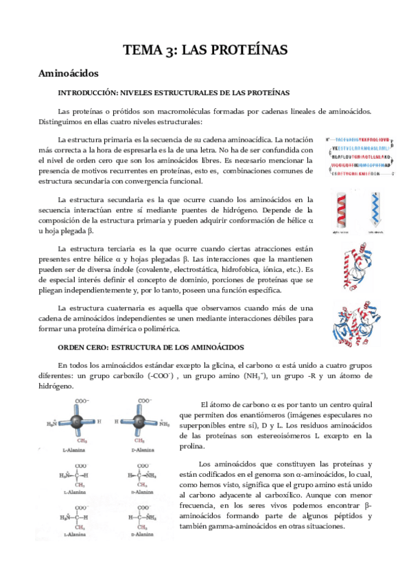 Miniatura del documento TEMA 3 BILINGÜE.pdf