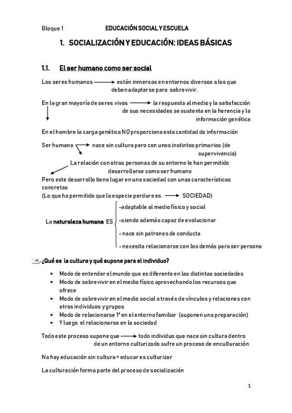 Miniatura del documento Educación social e intercultural.pdf