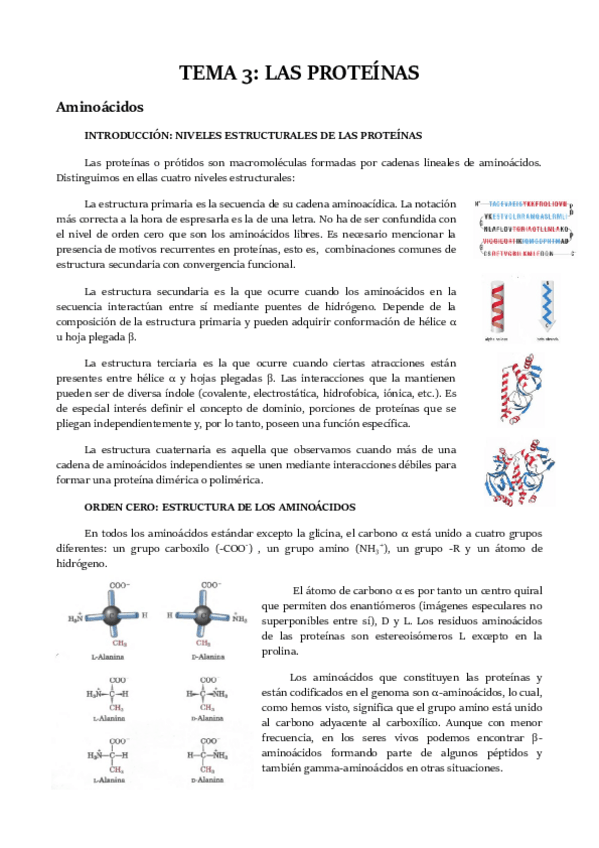 Miniatura del documento TEMA 3 ESPAÑOL.pdf