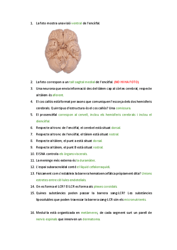 Miniatura del documento Exercicis de repàs (2).pdf