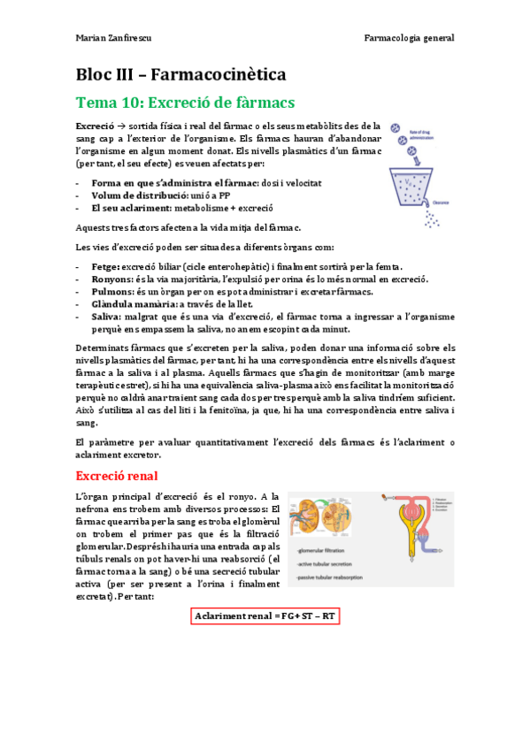 Miniatura del documento Tema 10 - Excreció dels fàrmacs.pdf