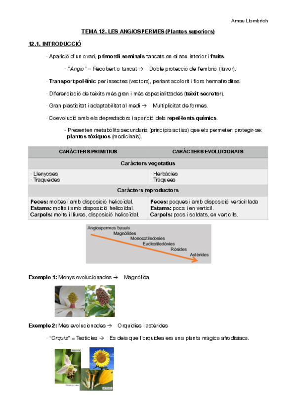 Miniatura del documento Apunts botànica farmacèutica (Tema 12).pdf