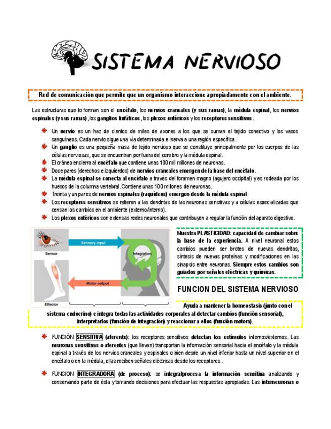 Miniatura del documento Sistema Nervioso.pdf