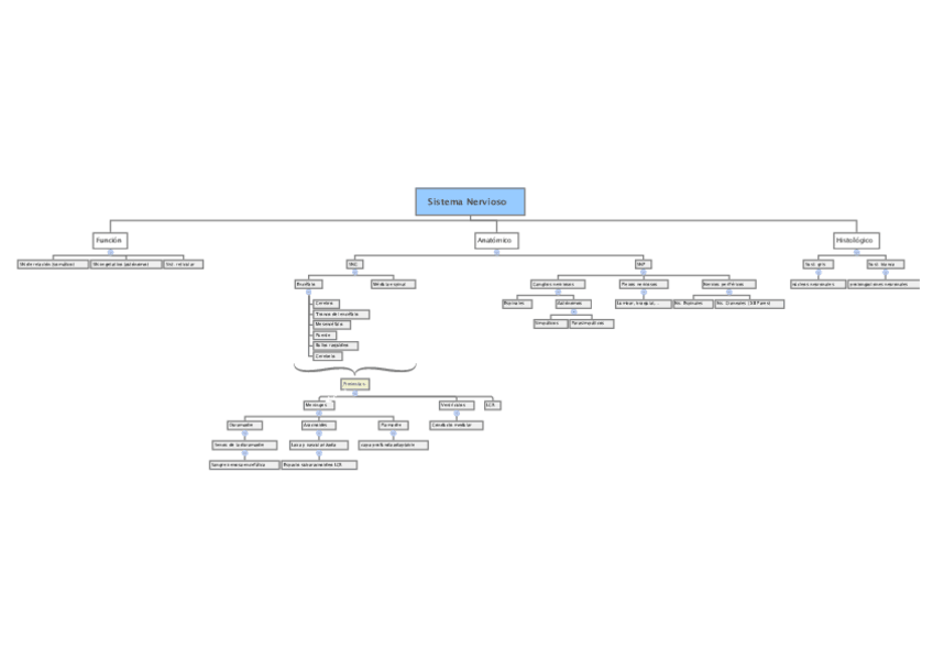 Miniatura del documento 1.1 Sistema Nervioso.pdf