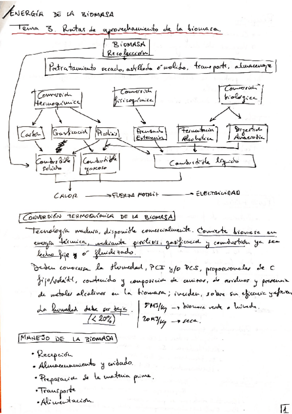 Miniatura del documento RESUMEN_T3_BIOMASA.pdf