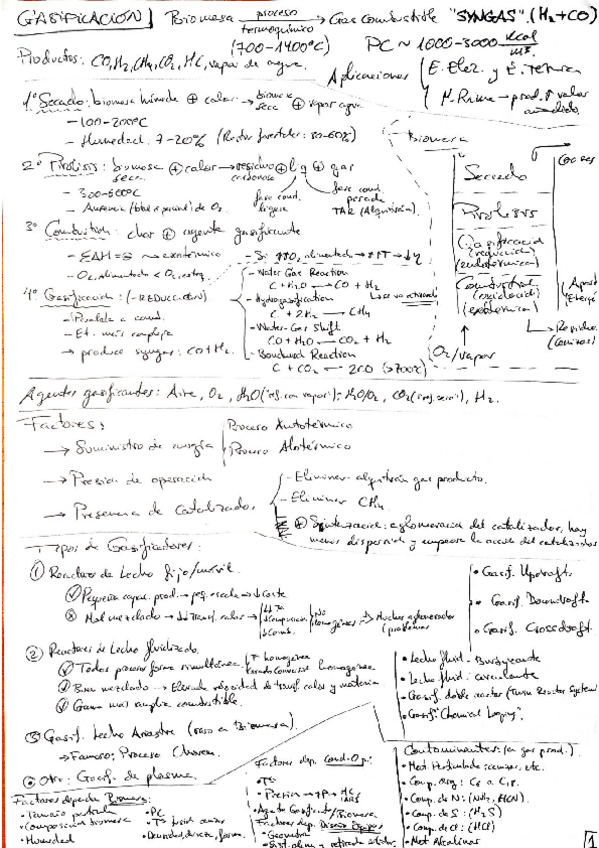 Miniatura del documento RESUMEN_GASIFICACION_BIOMASA.pdf