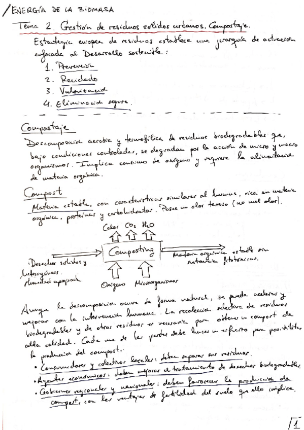 Miniatura del documento RESUMEN_T2_BIOMASA.pdf