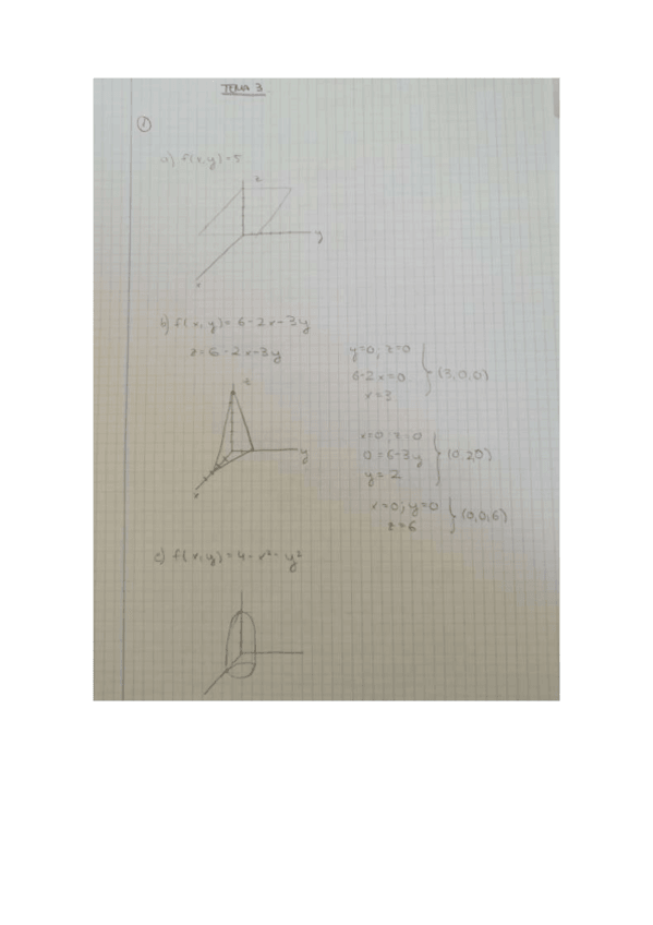 Miniatura del documento TEMA 3.pdf