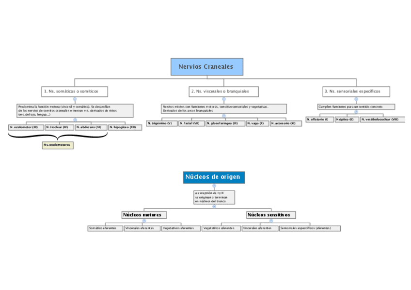 Miniatura del documento 8.1 Nervios craneales.pdf