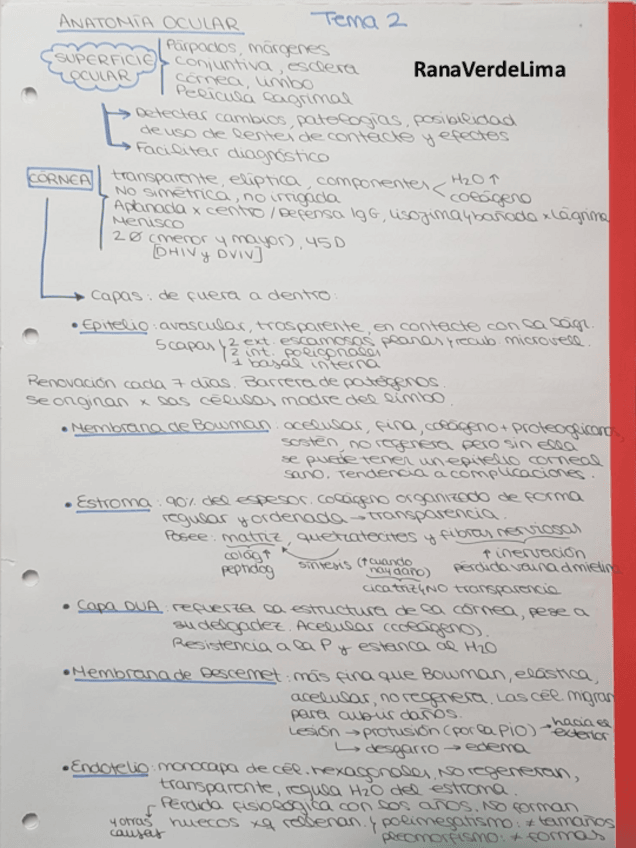 Miniatura del documento Tema 2 contactología.pdf