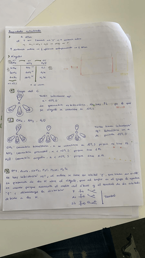 Miniatura del documento PHOTO-2019-03-27-11-05-06.jpg