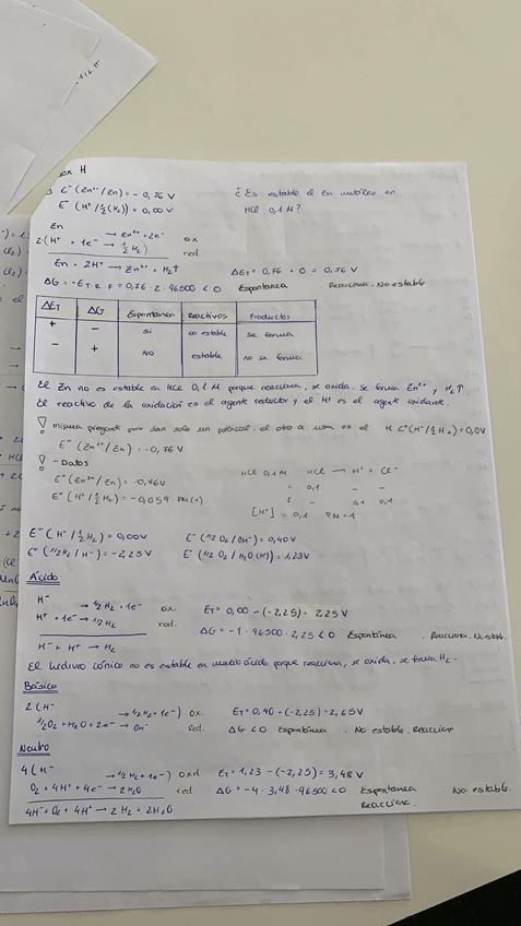 Miniatura del documento PHOTO-2019-03-27-11-05-13.jpg