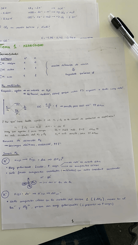 Miniatura del documento PHOTO-2019-03-27-11-04-29.jpg