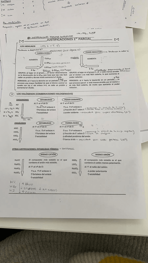 Miniatura del documento PHOTO-2019-03-25-17-39-32.jpg