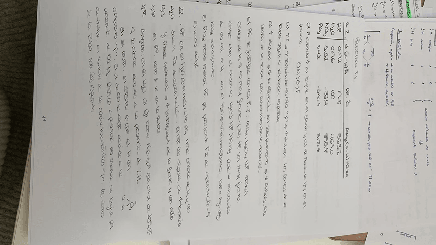 Miniatura del documento PHOTO-2019-03-25-17-39-24.jpg