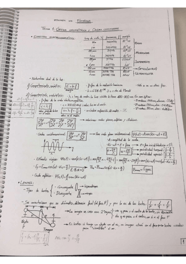 Miniatura del documento resumen 1.pdf