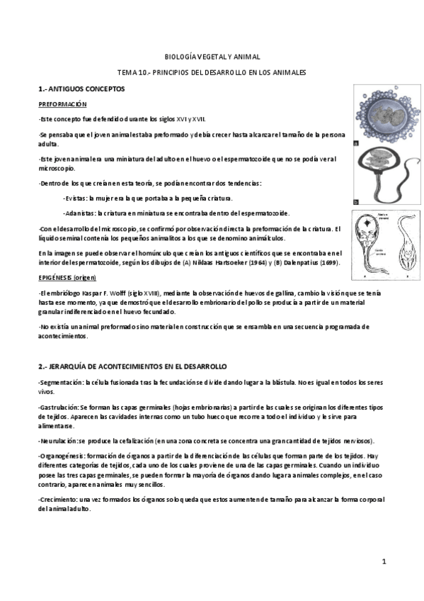 Miniatura del documento PRINCIPIOS DEL DESARROLLO DE LOS ANIMALES.pdf