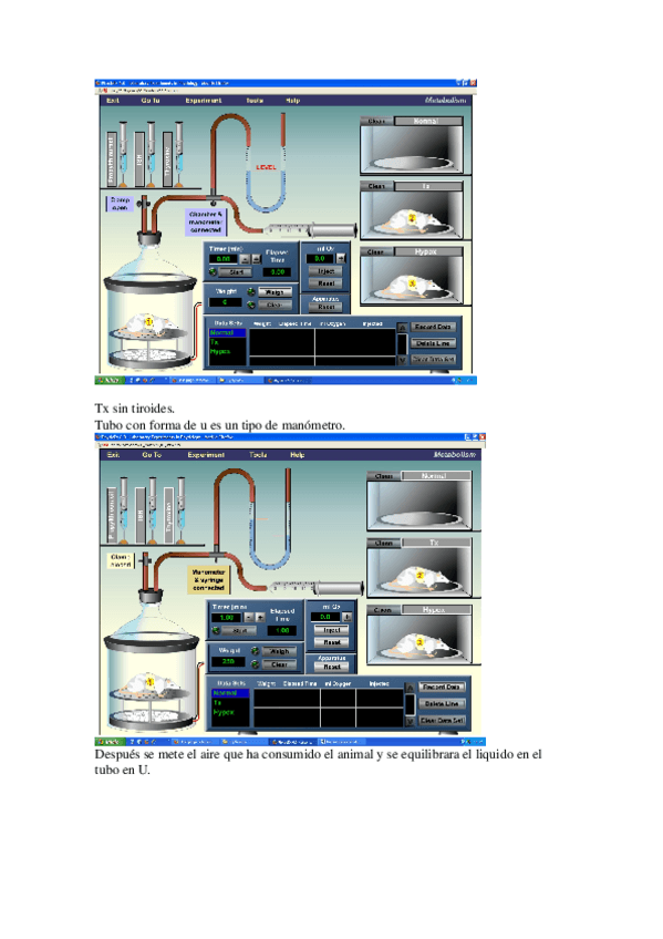 Miniatura del documento Nuevo Documento de Microsoft Word.doc