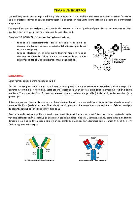Miniatura del documento Segundo parcial inmuno.pdf