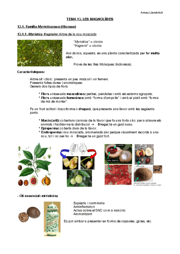 Miniatura del documento Apunts botànica farmacèutica (Tema 13).pdf
