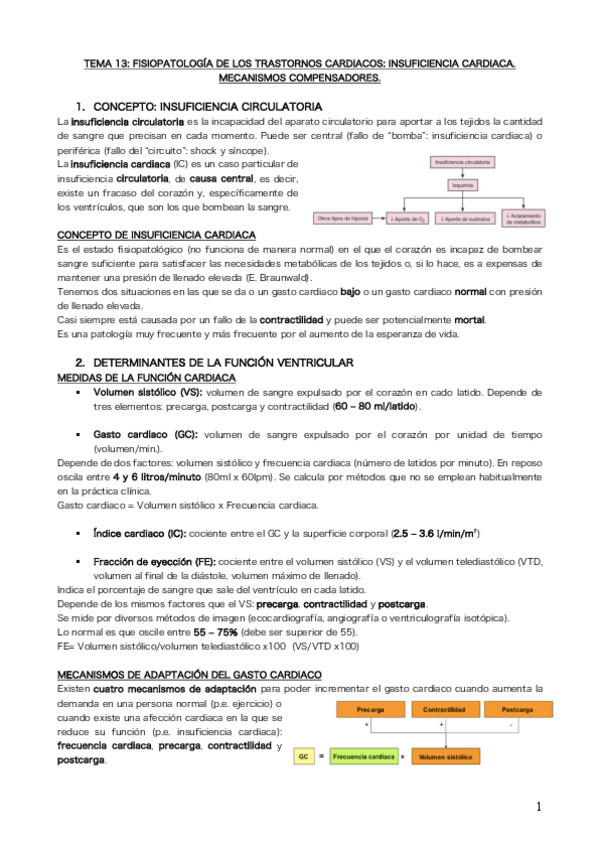 Miniatura del documento Tema 13.pdf
