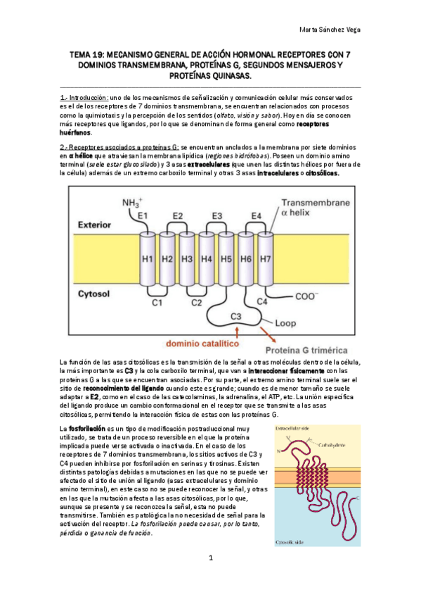 Miniatura del documento TEMA 19.pdf