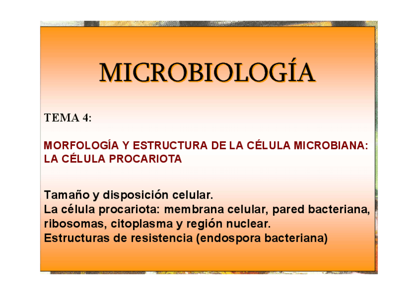 Miniatura del documento Tem_Celula_Procariota_1_.pdf