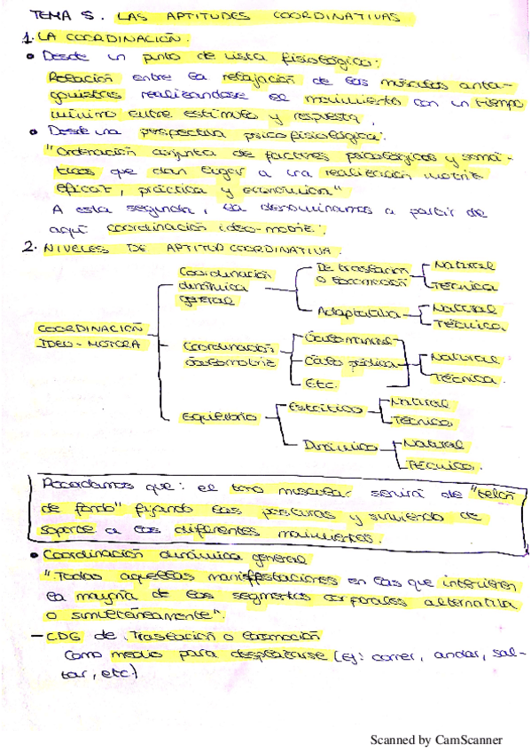 Miniatura del documento Tema 5 ef de base.pdf