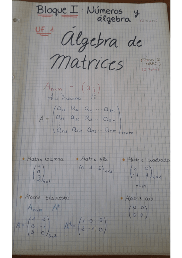 Miniatura del documento 1 - Matrices.pdf