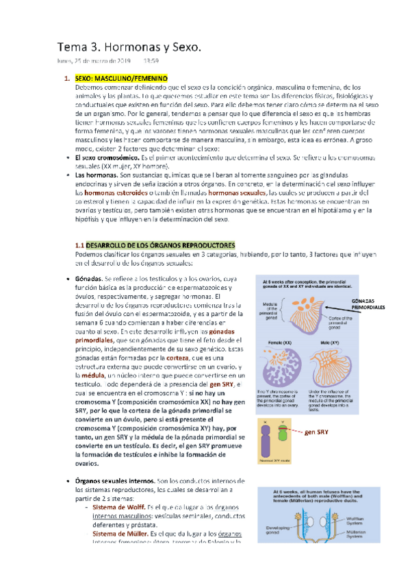 Miniatura del documento PSICOBIOLOGÍA Tema 3. Hormonas y sexo.pdf