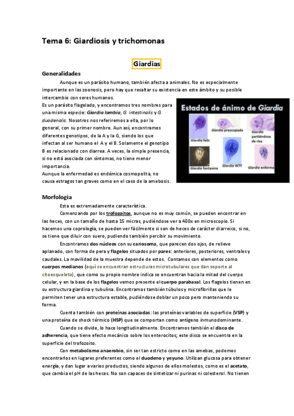 Miniatura del documento Tema 6 parasitología.pdf