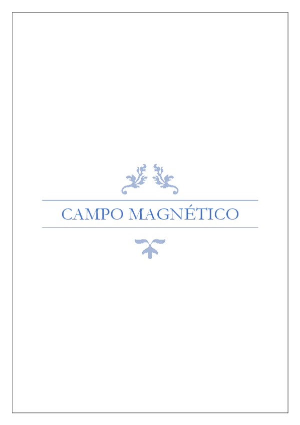 Miniatura del documento Campo Magnético.pdf