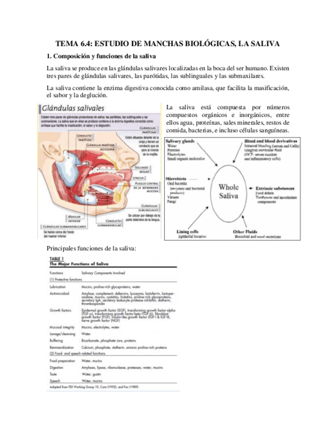Miniatura del documento Tema 6.4.pdf