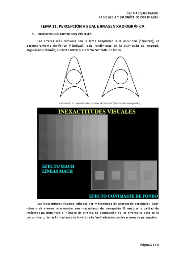 Miniatura del documento TEMA 11 PERCEPCIÓN VISUAL.pdf