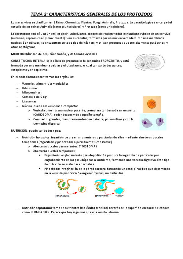 Miniatura del documento TEMA 2.pdf