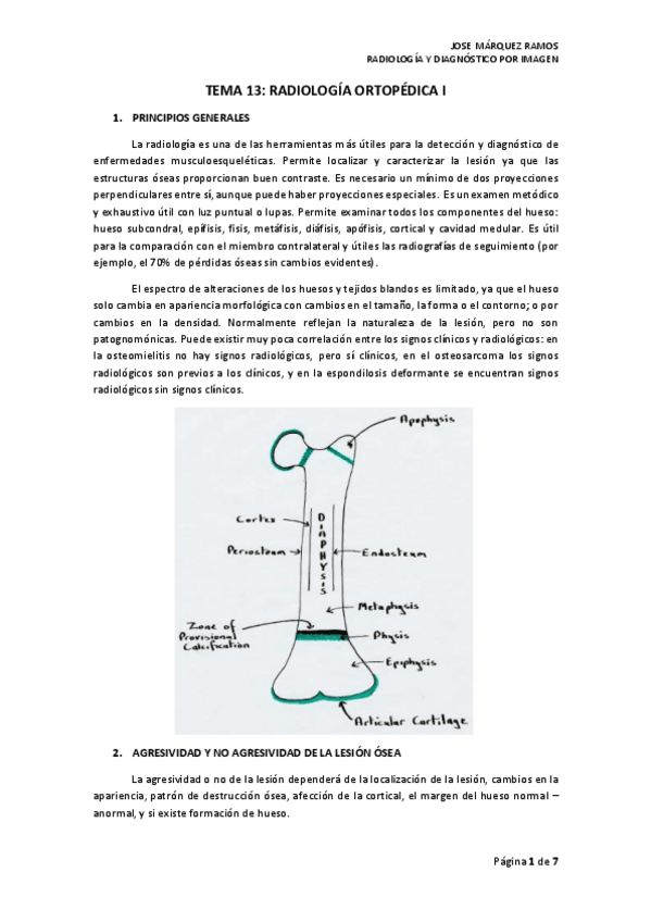 Miniatura del documento TEMA 13 RADIOLOGÍA ORTOPÉDICA I.pdf