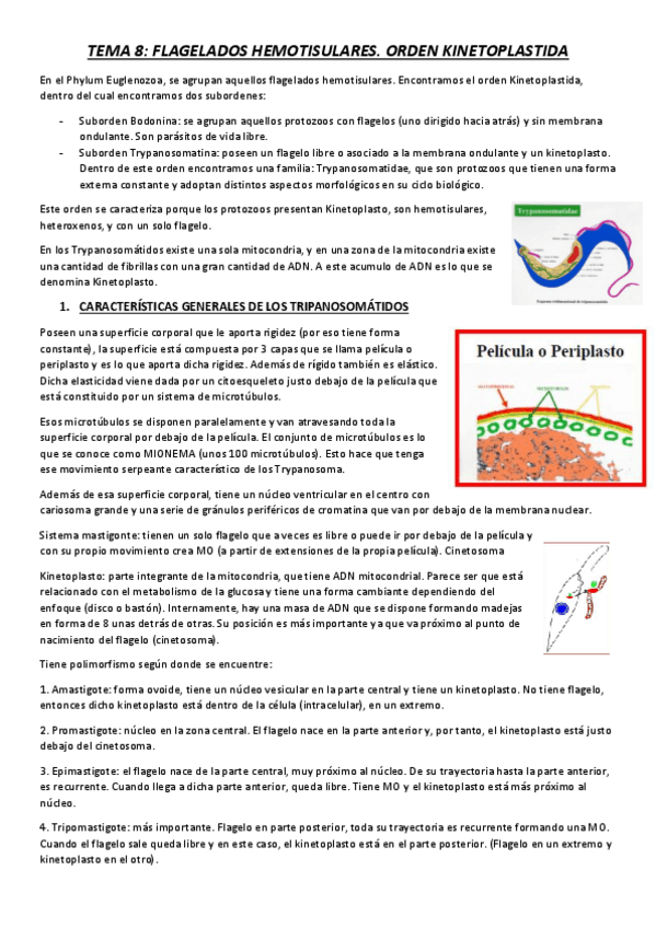 Miniatura del documento TEMA 8.pdf
