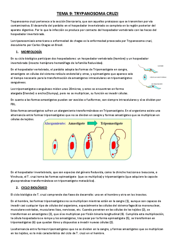 Miniatura del documento TEMA 9.pdf