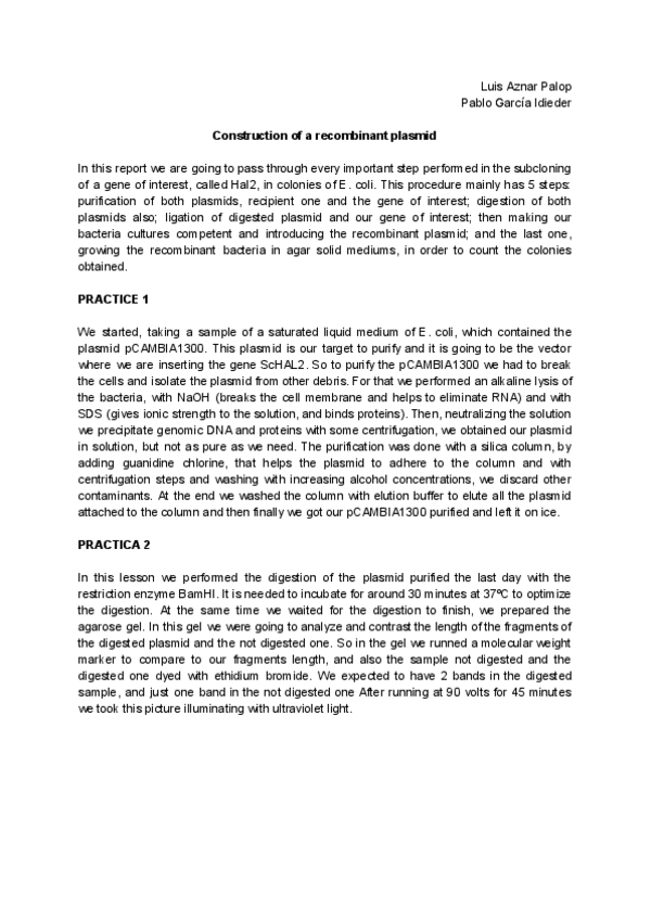 Miniatura del documento Ingeniería genética (1).pdf