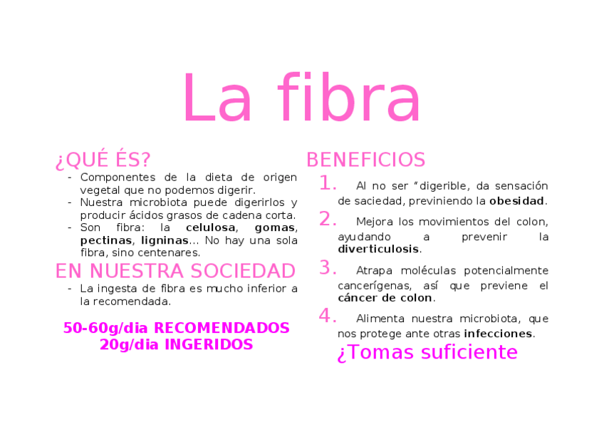 Miniatura del documento La fibra.docx