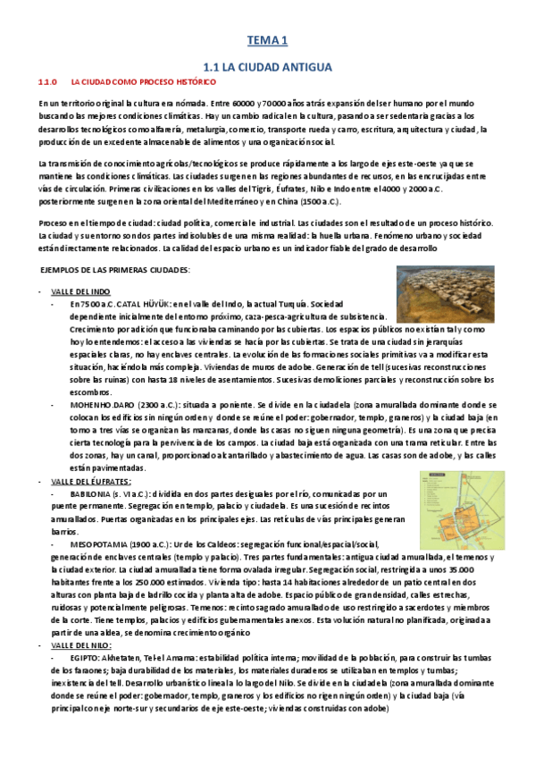 Miniatura del documento TEMA 1.pdf