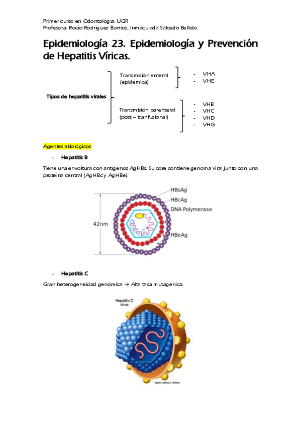 Miniatura del documento Epidemiología 23. Prevención de Hepatitis Víricas..pdf