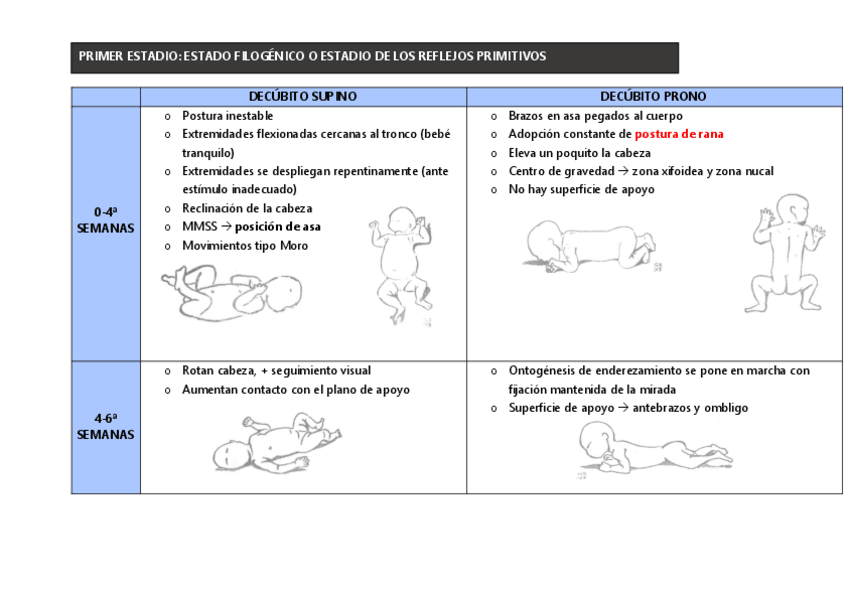 Miniatura del documento Tema 1. Valoración de la ontogénesis postural.pdf