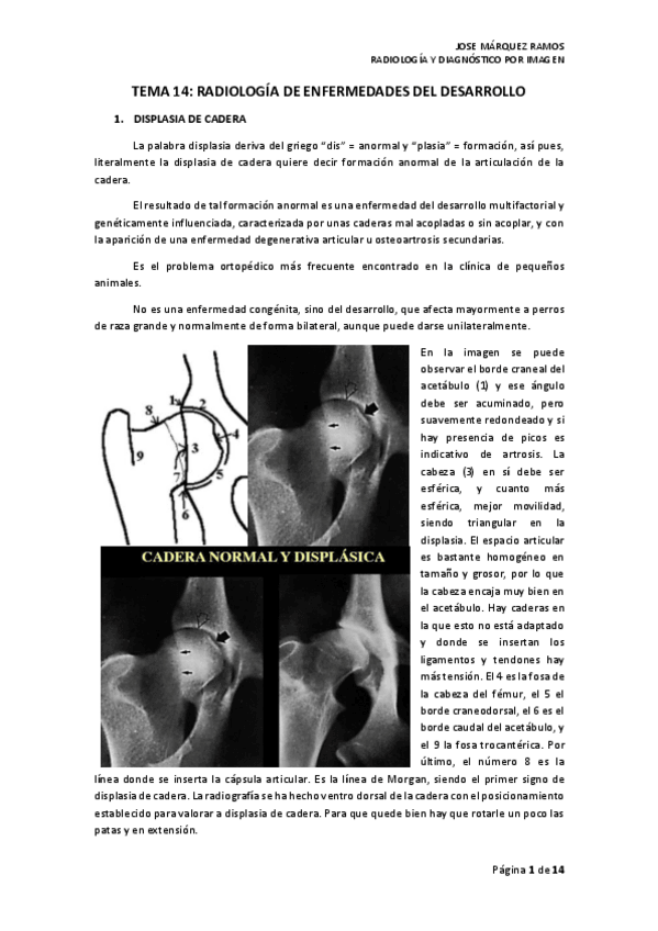 Miniatura del documento TEMA 14 Y 15 RADIOLOGÍA DE ENFERMEDADES DEL DESARROLLO.pdf
